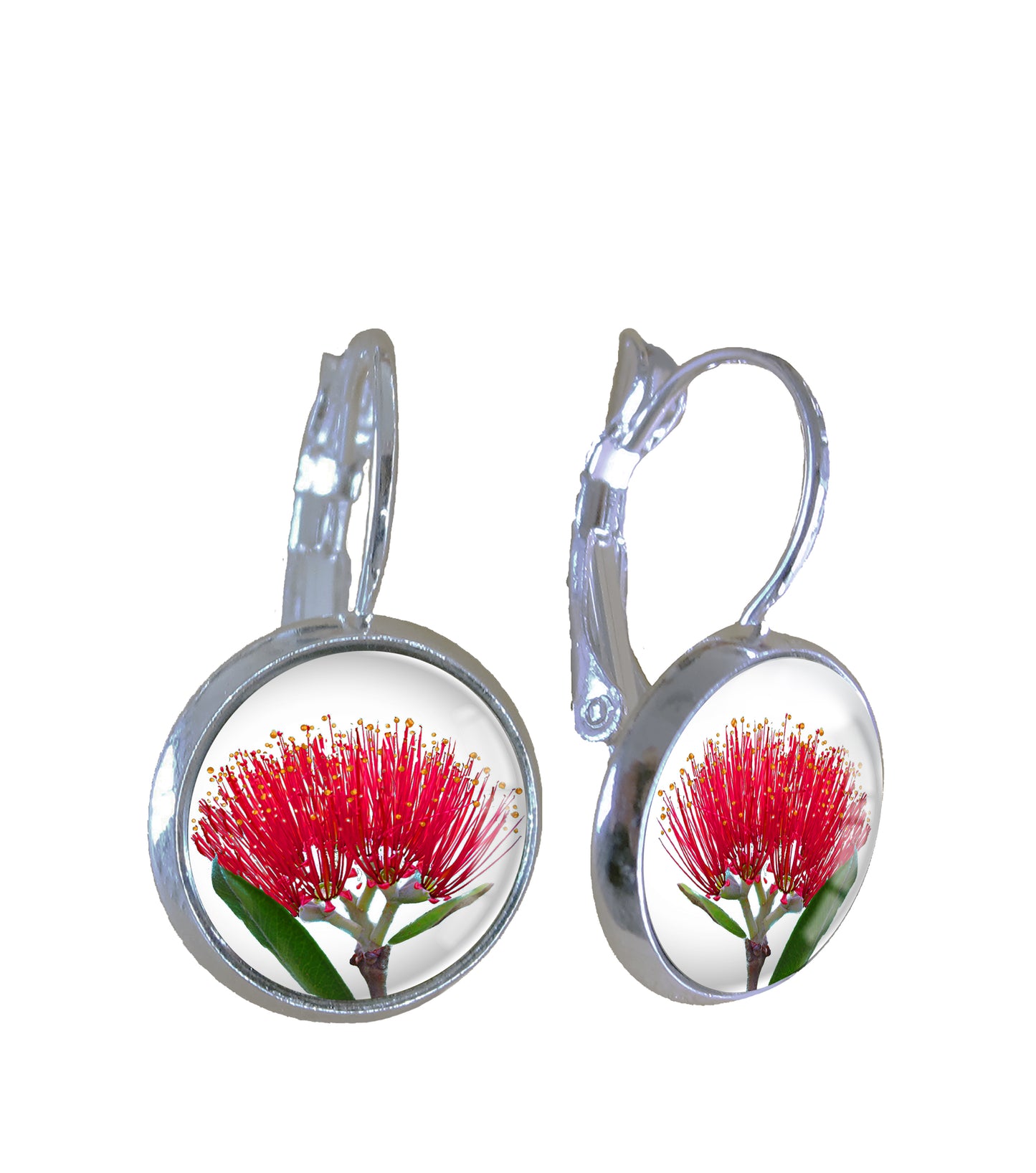 Pohutukawa on White