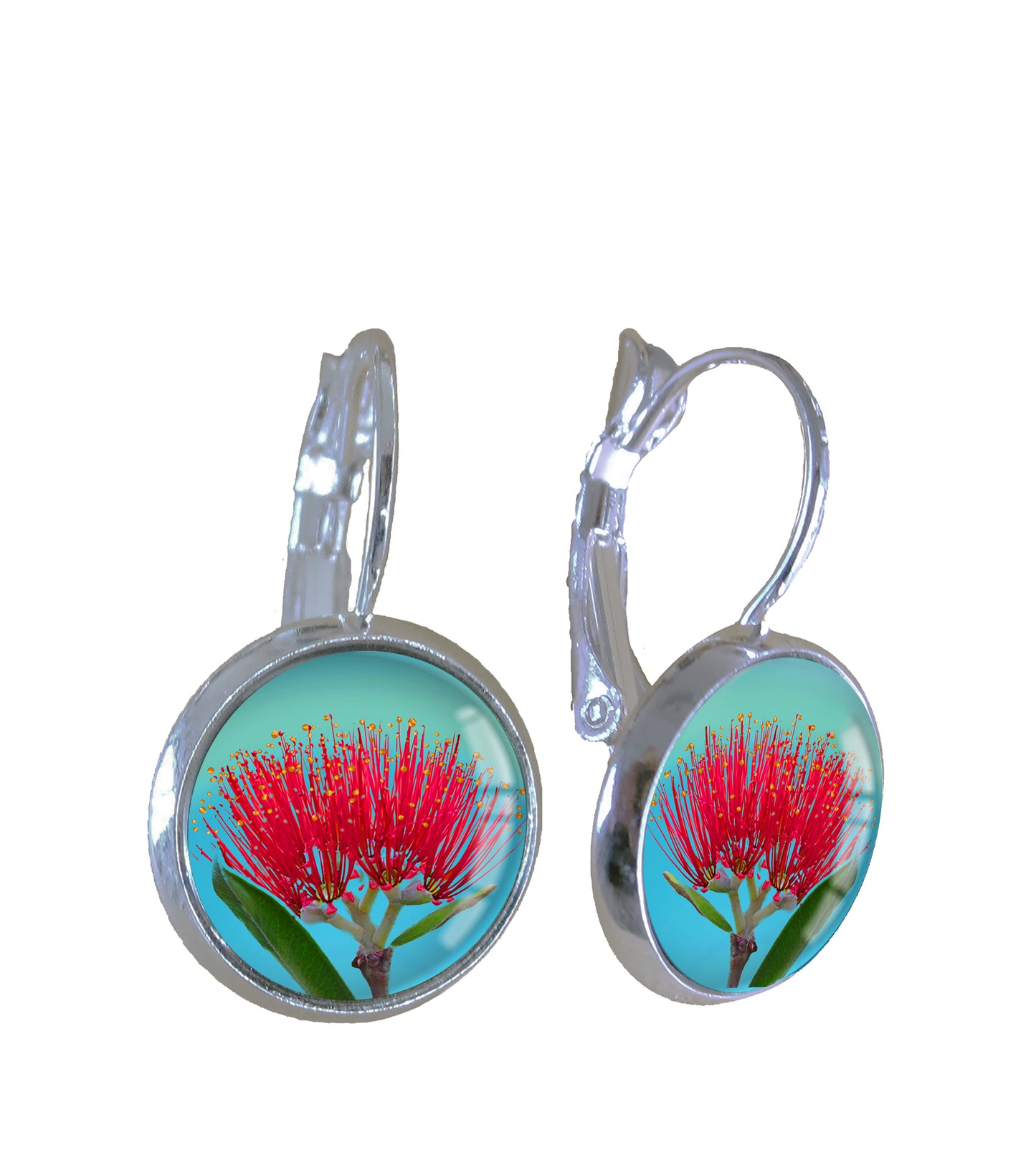 Pohutukawa
