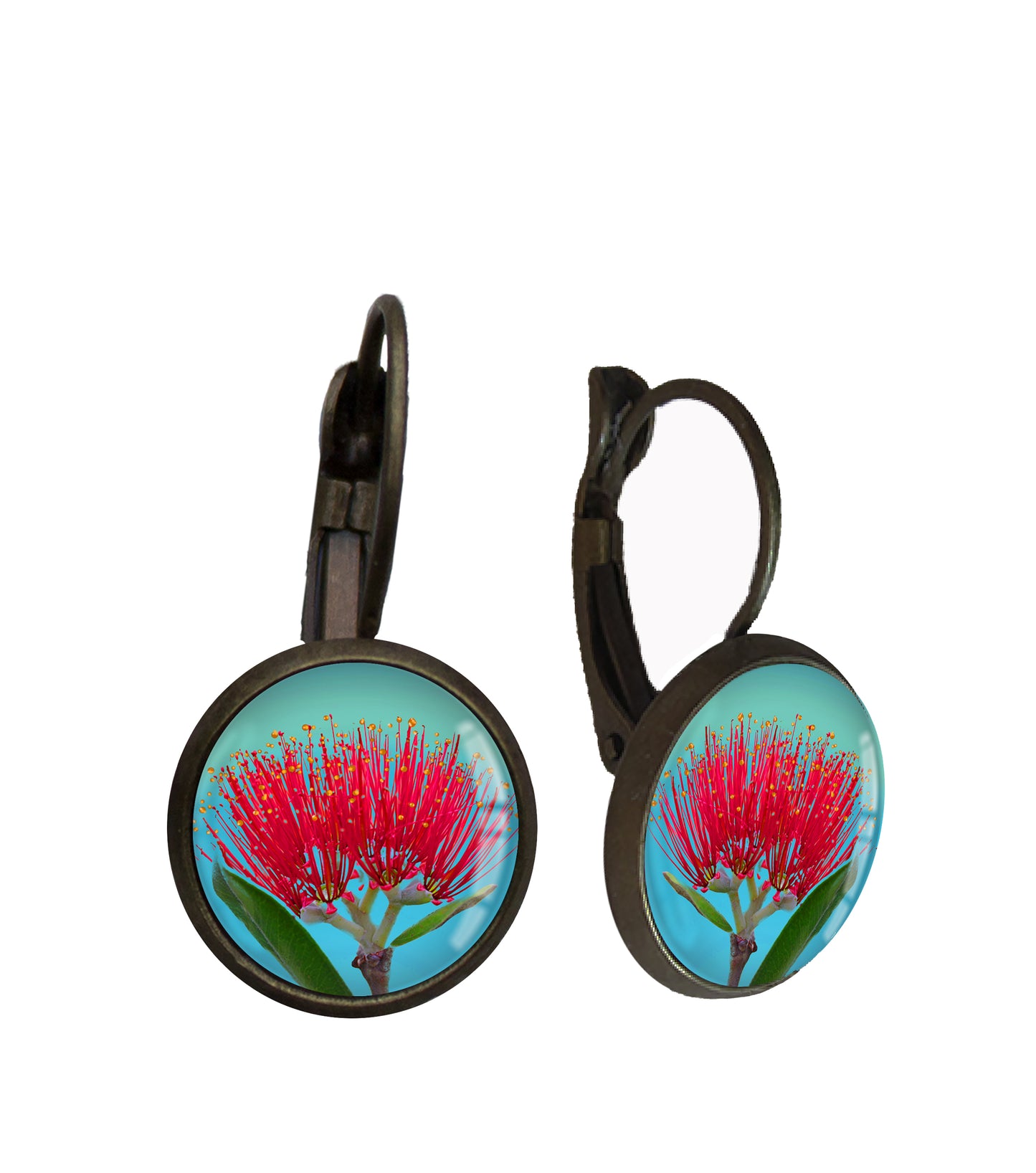 Pohutukawa