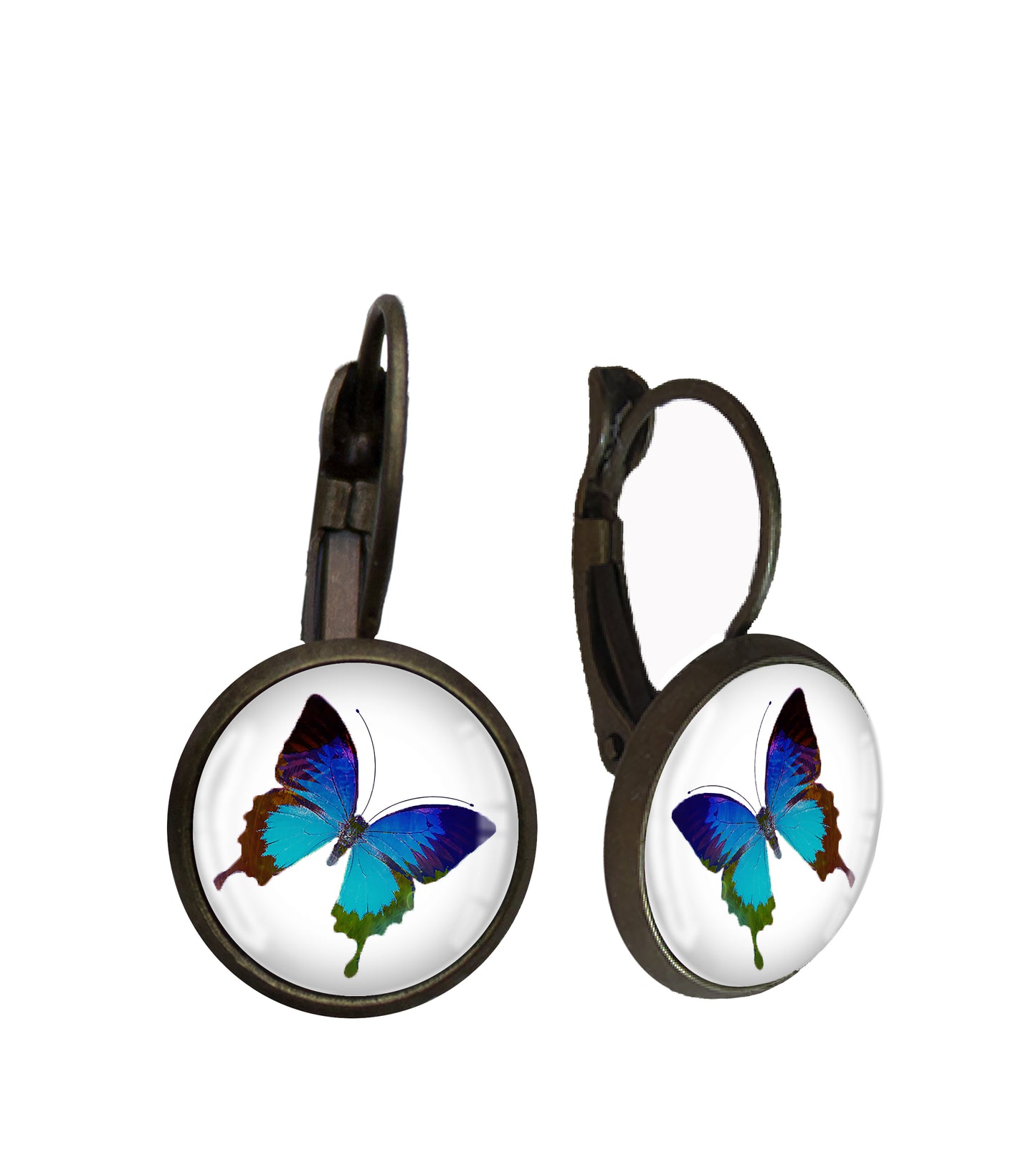 Blue Butterfly